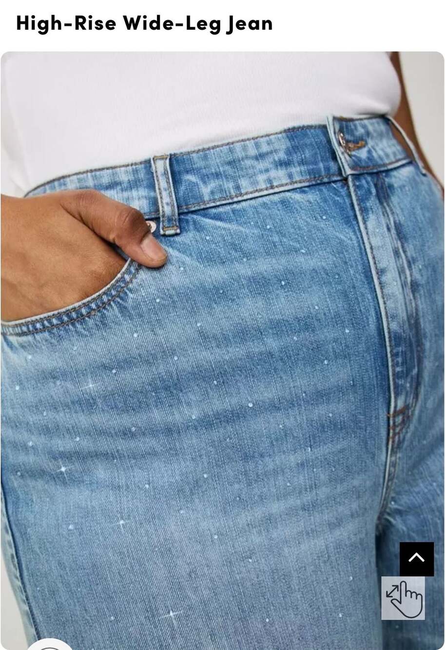 Torrid High-Rise Wide-Leg Jean Rhinestone Embellished